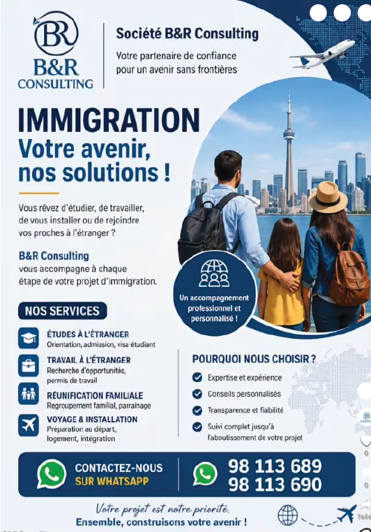 BR Consulting Flyer 1
