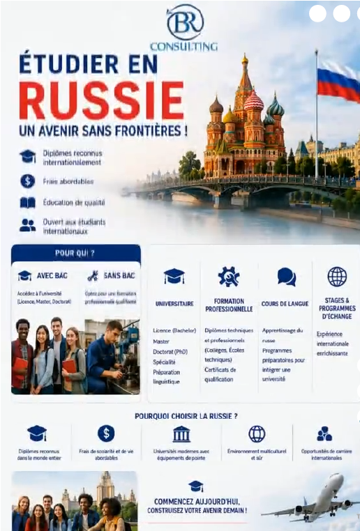 BR Consulting Flyer 3
