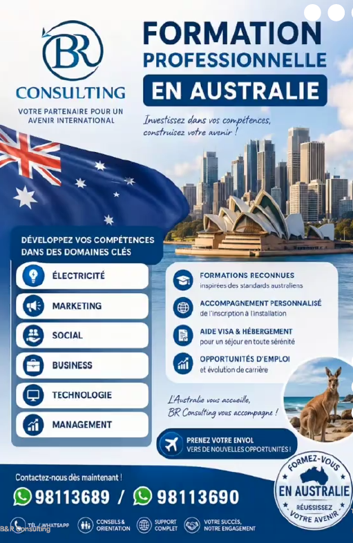 BR Consulting Flyer 4